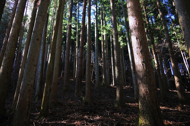 f:id:Argon:20211220215832j:plain