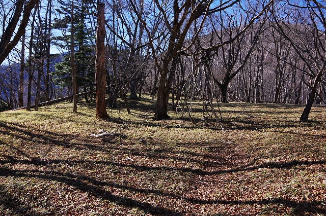f:id:Argon:20220106221130j:plain