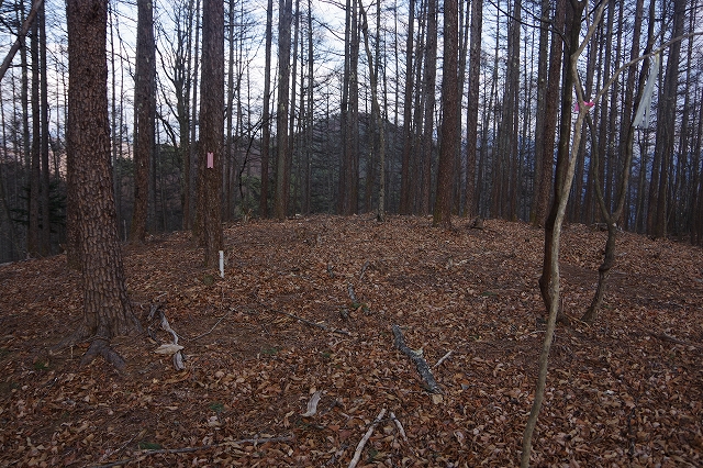 f:id:Argon:20220113231124j:plain
