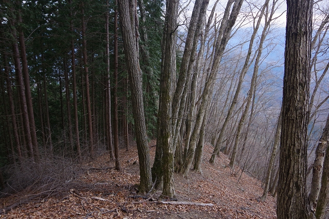f:id:Argon:20220113231141j:plain