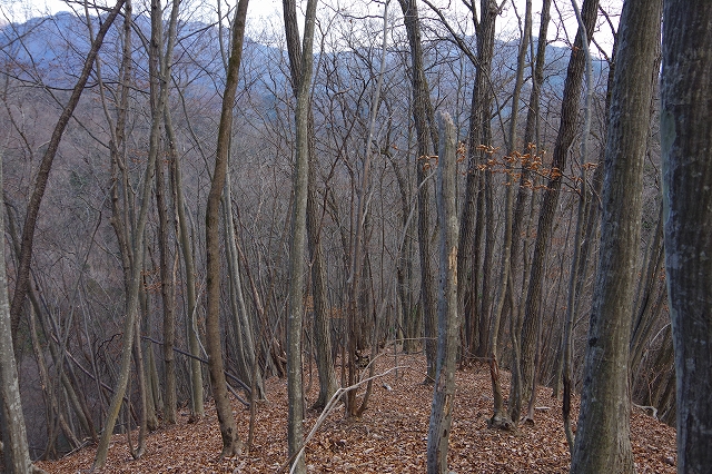 f:id:Argon:20220113231225j:plain
