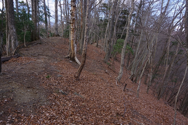 f:id:Argon:20220113231236j:plain