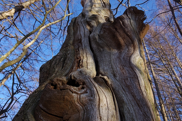 f:id:Argon:20220117013003j:plain