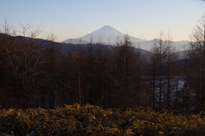 f:id:Argon:20220131211048j:plain