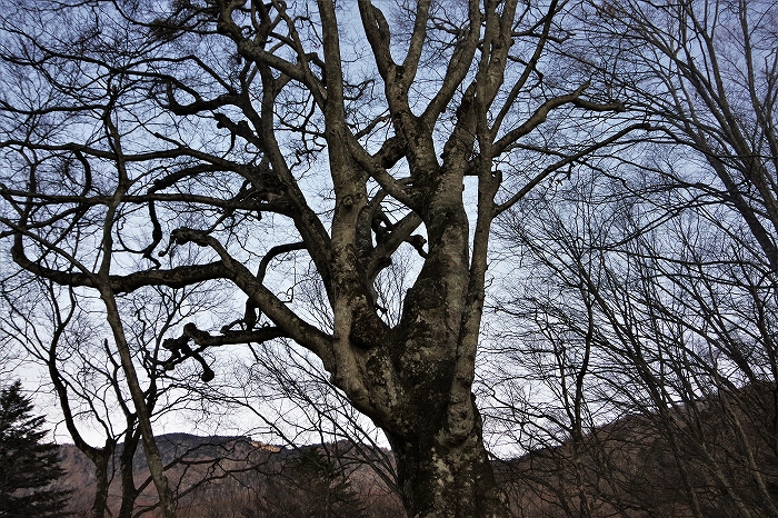 f:id:Argon:20220131211148j:plain