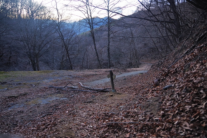 f:id:Argon:20220131211151j:plain