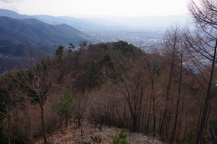 f:id:Argon:20220321201202j:plain
