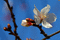 f:id:Arie:20050213144451:image:small