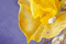 f:id:Arie:20050218195454:image:small