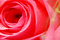 f:id:Arie:20050226231854:image:small