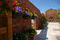 f:id:Arie:20050503133807:image:small