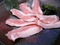 f:id:Arie:20050508181714:image:small
