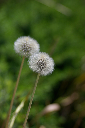 20050529120129