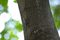f:id:Arie:20050726152129j:image:small