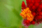 f:id:Arie:20050726152607j:image:small