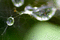 f:id:Arie:20050731103758j:image:small