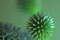f:id:Arie:20050809144608j:image:small