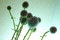 f:id:Arie:20050809145141j:image:small