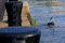 f:id:Arie:20050816173300j:image:small