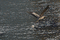 f:id:Arie:20050816173331j:image:small