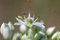 f:id:Arie:20050828153457j:image:small
