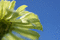 f:id:Arie:20050828153606j:image:small