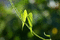 f:id:Arie:20050828154604j:image:small