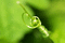f:id:Arie:20050828155056j:image:small