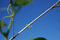 f:id:Arie:20050828155415j:image:small