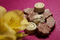 f:id:Arie:20051029213238j:image:small