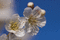 f:id:Arie:20060303214803j:image:small