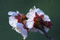 f:id:Arie:20060303214804j:image:small