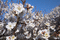 f:id:Arie:20060303214841j:image:small