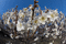 f:id:Arie:20060303214955j:image:small