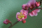 f:id:Arie:20060306013122j:image:small