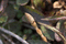 f:id:Arie:20060306013126j:image:small