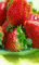 f:id:Arie:20060312033121j:image:small
