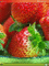f:id:Arie:20060312033126j:image:small