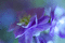 f:id:Arie:20060316005956j:image:small