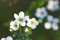 f:id:Arie:20060316010155j:image:small