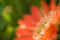 f:id:Arie:20060321012640j:image:small