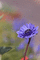f:id:Arie:20060321012650j:image:small