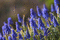 f:id:Arie:20060321012653j:image:small