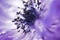 f:id:Arie:20060321012654j:image:small