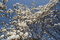 f:id:Arie:20060321012655j:image:small