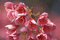 f:id:Arie:20060321012739j:image:small