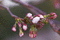 f:id:Arie:20060321012744j:image:small