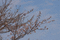 f:id:Arie:20060325095613j:image:small