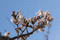 f:id:Arie:20060325095641j:image:small