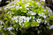 f:id:Arie:20060328024600j:image:small
